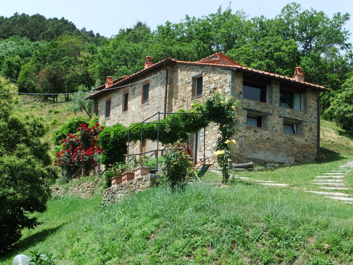דירות פשיה Fattoria Di Pietrabuona מראה חיצוני תמונה
